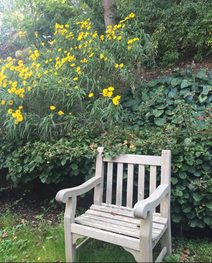 F30DDE98-EB3D-4502-BD4A-0C8995FAF3FD